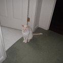Warrior June 2011 011